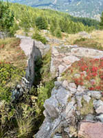 20250913_125017000_iOS 2.jpg